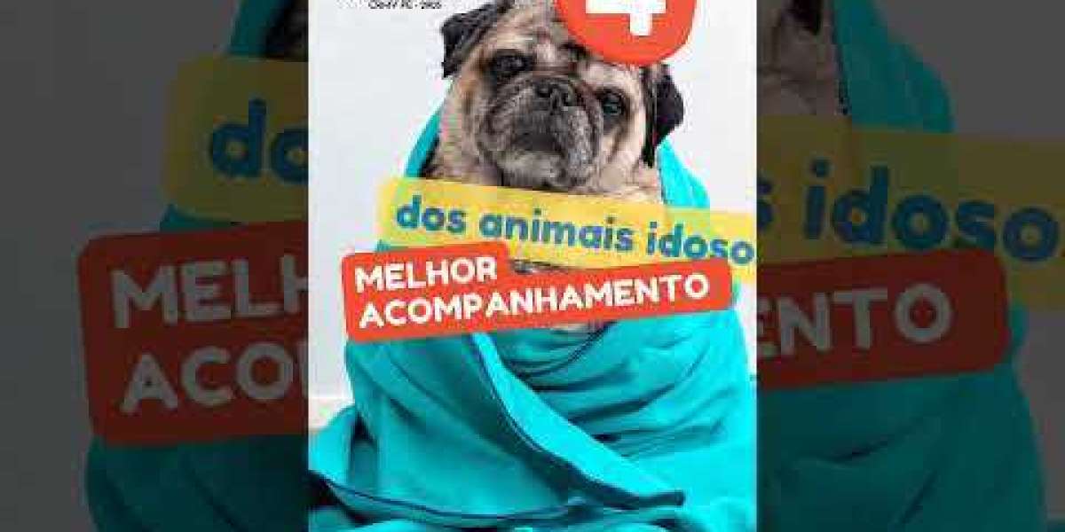 Cuidados Essenciais para Proteger a Saúde do Seu Cão com Problemas Cardíacos